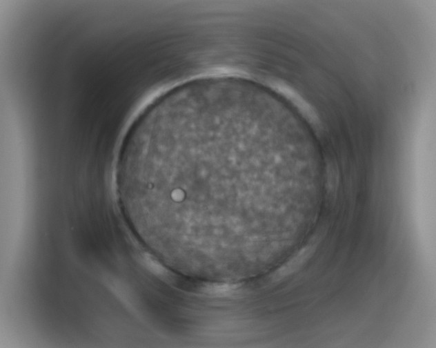 X0000115401278200911101505
