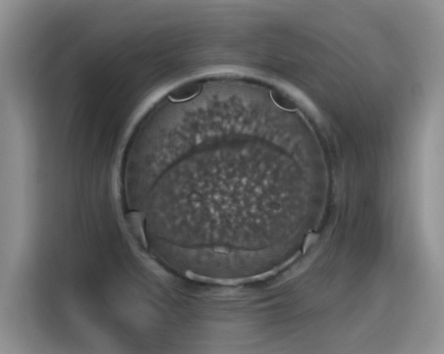 X0000115401279200911101505