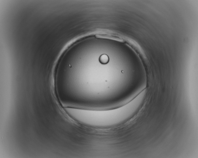 X0000115401280200911101505