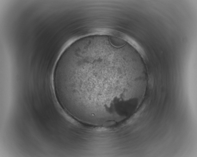 X0000115401283200911101505