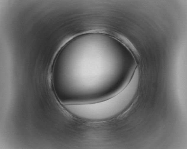 X0000115401284200911101505