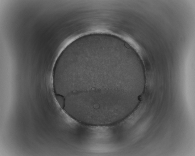 X0000115401287200911101505