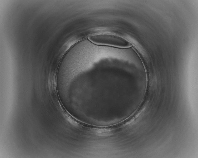 X0000115401289200911101505