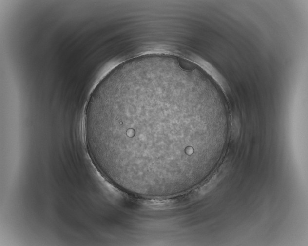 X0000115401290200911101505