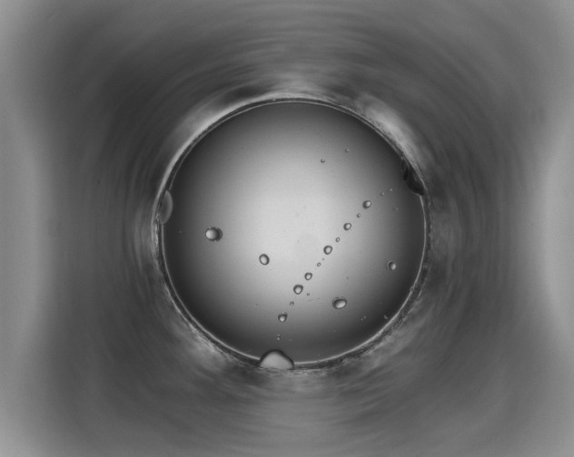 X0000115401292200911101505