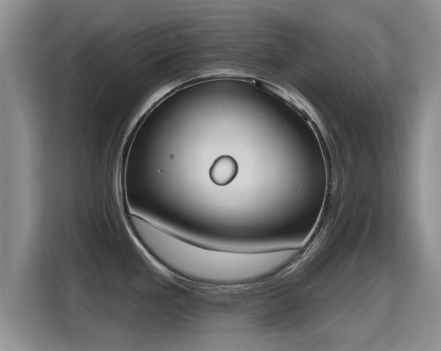 X0000115401293200911101505