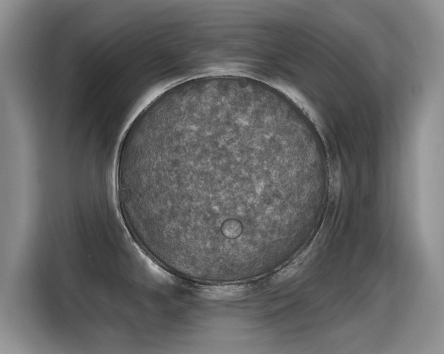 X0000115401294200911101505