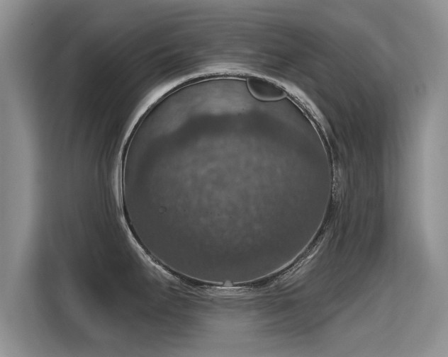 X0000115401295200911101505