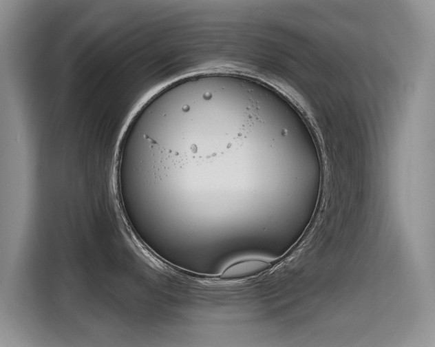X0000115401296200911101505