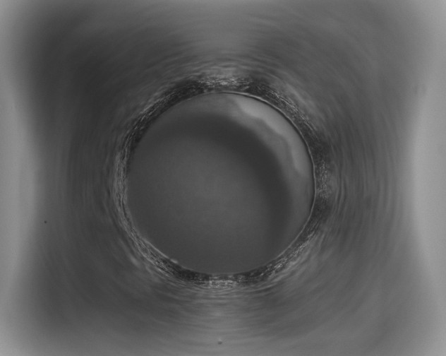 X0000115401297200911101504