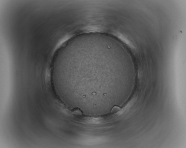 X0000115401309200911101504