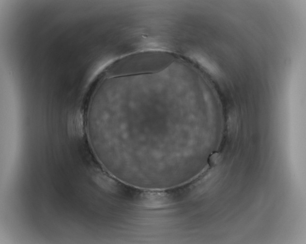 X0000115401310200911101504