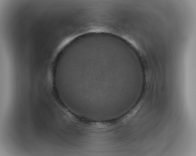 X0000115401311200911101504