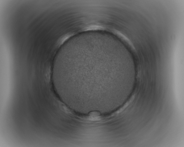 X0000115401313200911101504