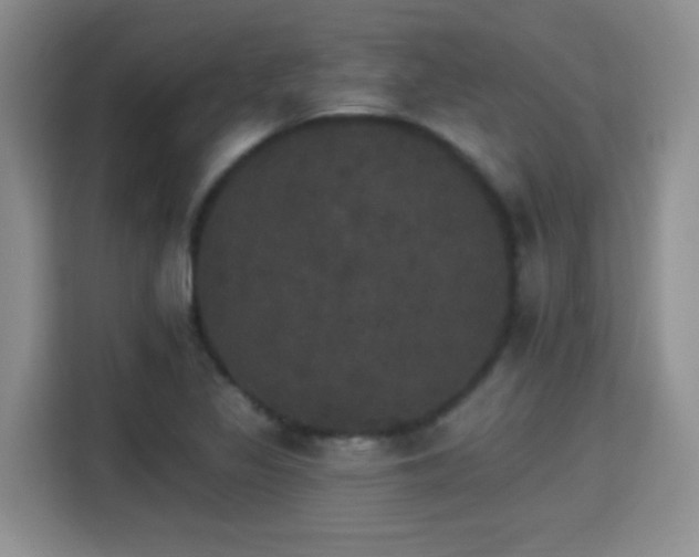 X0000115401317200911101504