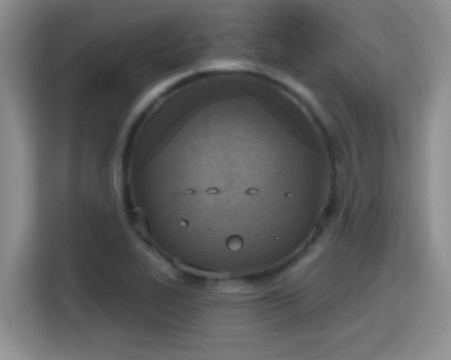X0000115401319200911101504