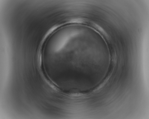 X0000115401323200911101504