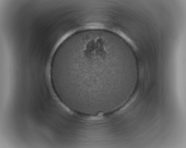 X0000115401325200911101504