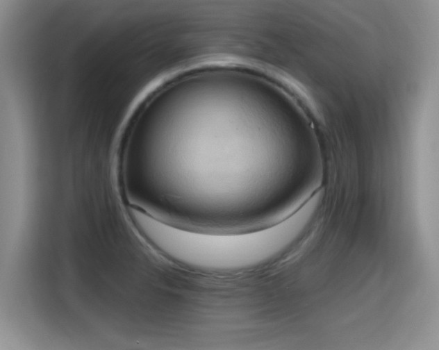 X0000115401326200911101504
