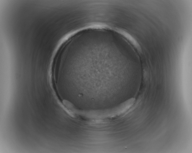 X0000115401327200911101504