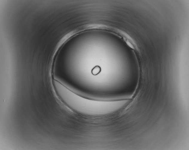 X0000115401330200911101504