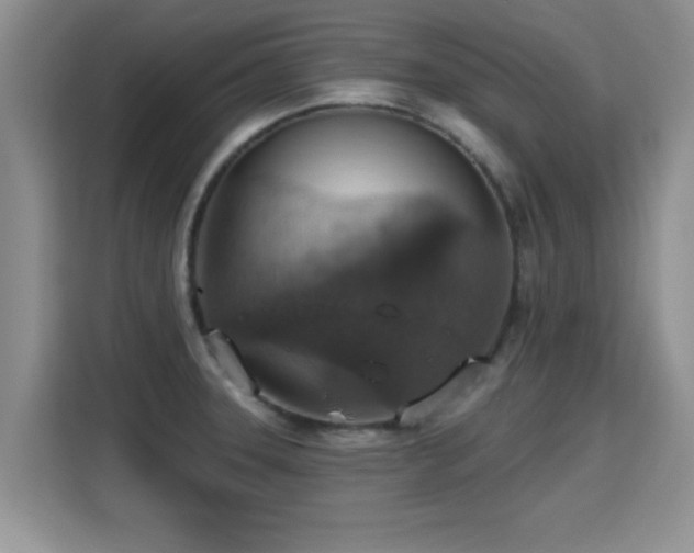 X0000115401331200911101504