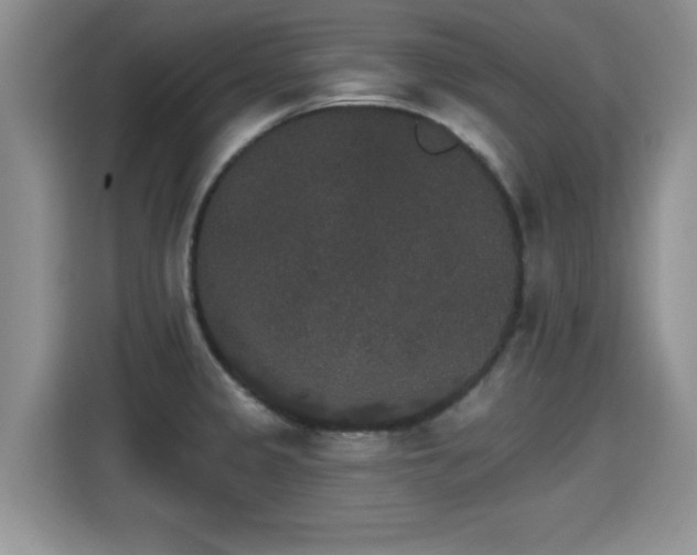 X0000115401333200911101504