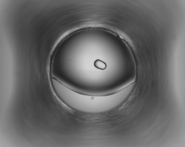 X0000115401334200911101504