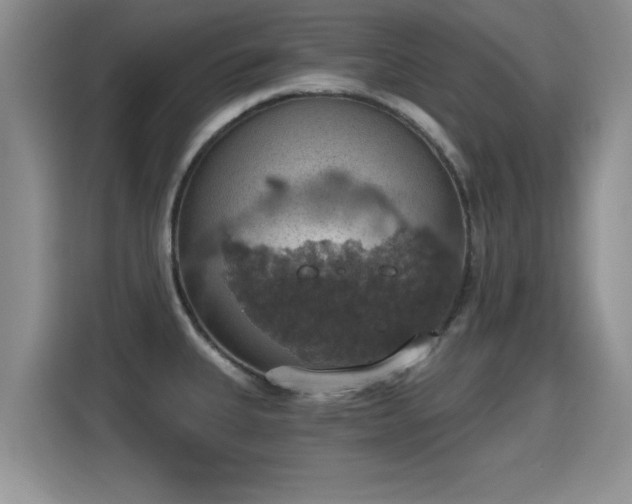 X0000115401335200911101504
