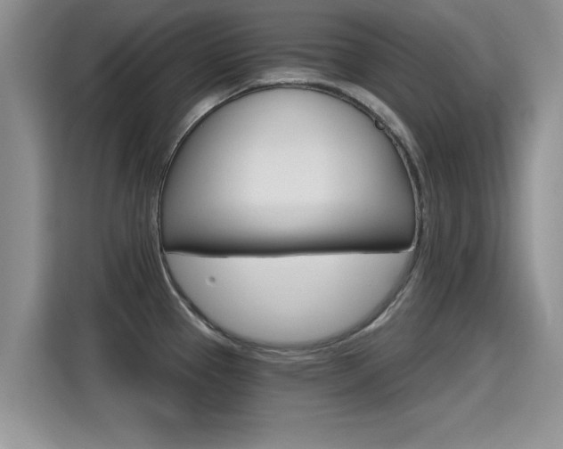 X0000115401337200911101504