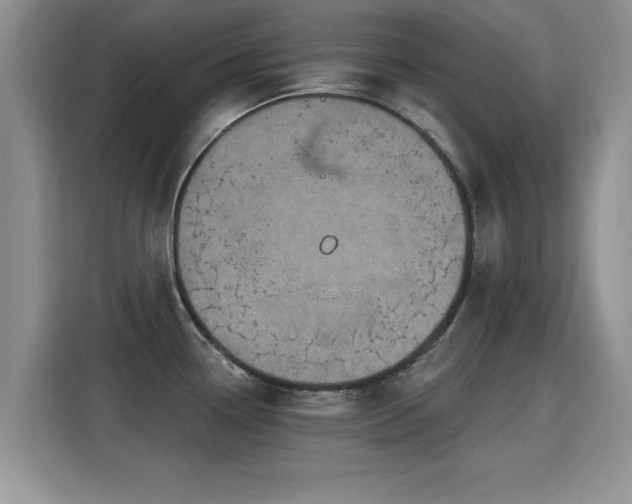 X0000115401338200911101504