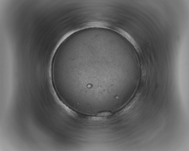 X0000115401339200911101504