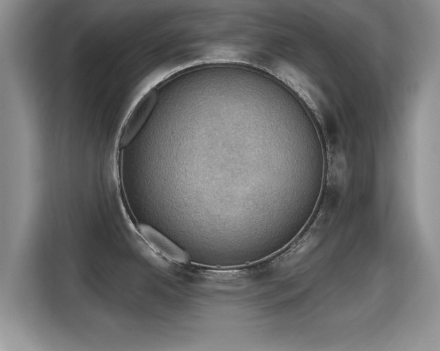 X0000115401342200911101505