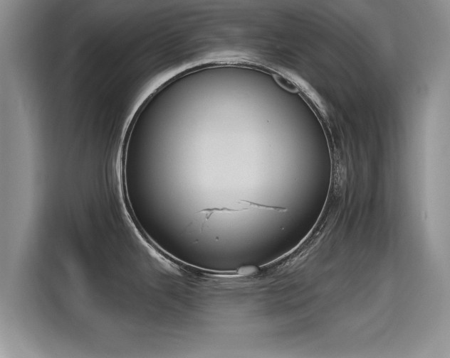 X0000115401343200911101505