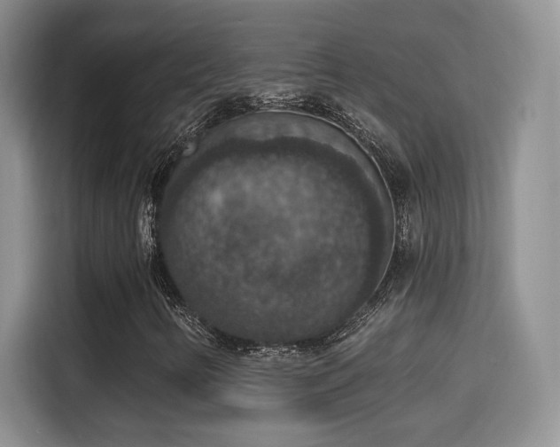 X0000115401346200911101504