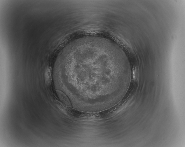 X0000115401347200911101504