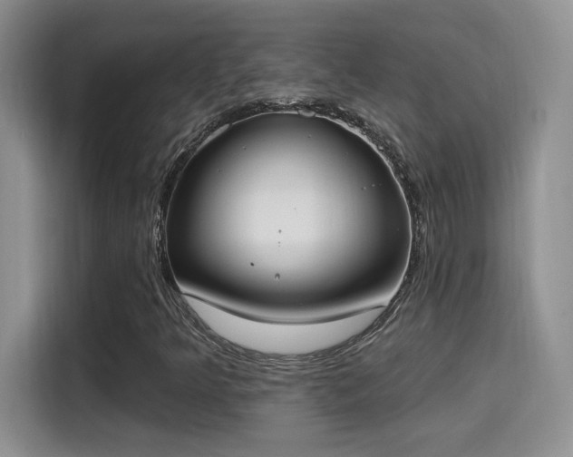 X0000115401349200911101504