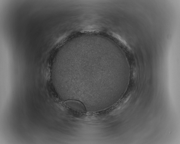 X0000115401350200911101504