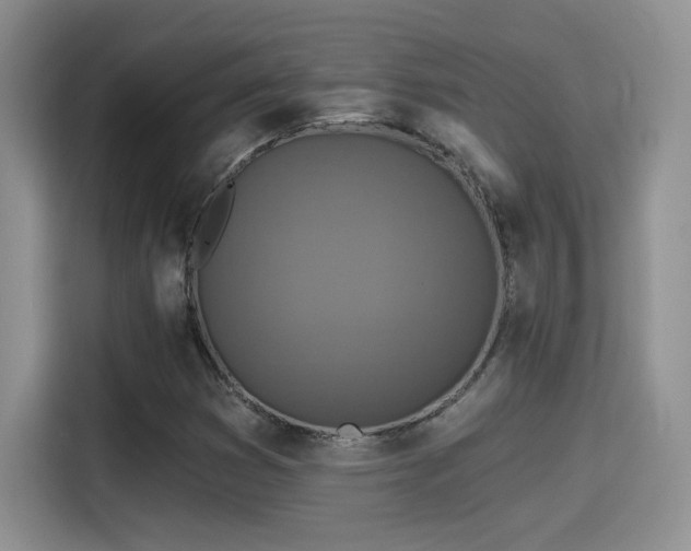 X0000115401353200911101504