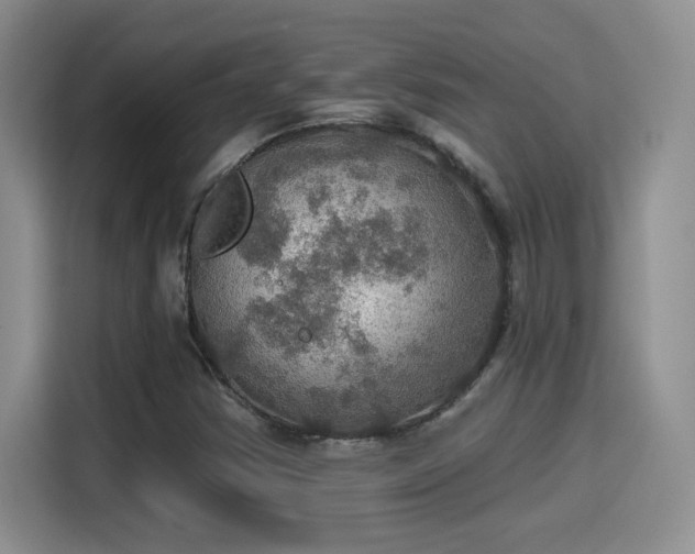 X0000115401354200911101504
