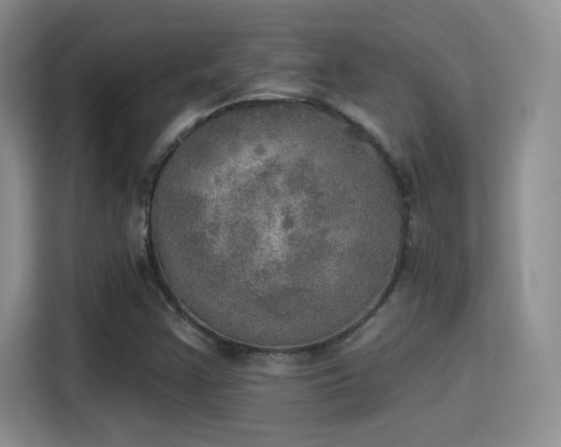X0000115401355200911101504
