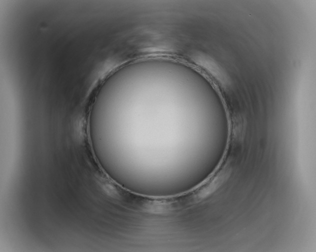 X0000115401357200911101504