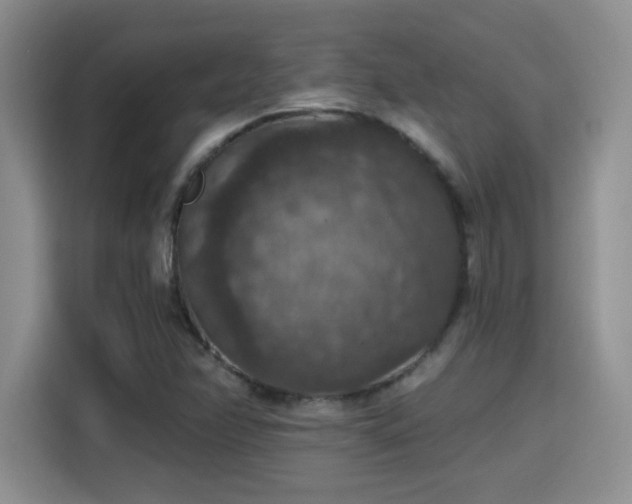 X0000115401358200911101504