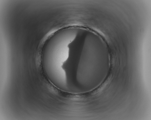 X0000115401359200911101504