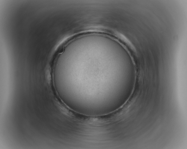 X0000115401360200911101504