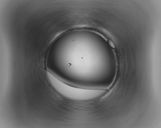 X0000115401361200911101504