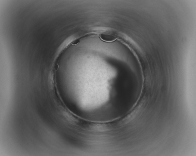 X0000115401362200911101504