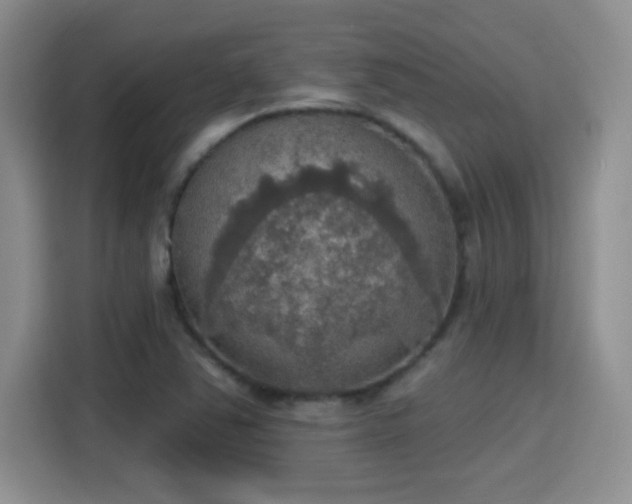 X0000115401363200911101504