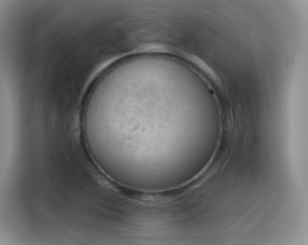 X0000115401364200911101504