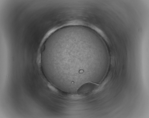 X0000115401366200911101504